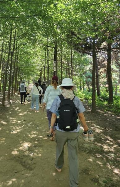 자연 속 건강한 걸음, 시흥 ‘늠내길 트레킹 프로그램’ 본격 운영