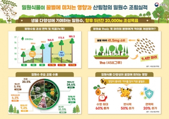 산림청, ‘세계 벌의 날’ 맞아 밀원수림 확대…양봉산업·생물다양성 동시 강화