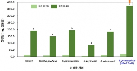 산림청, 잔디 생육과 병해 동시 개선하는 신종 미생물 발굴