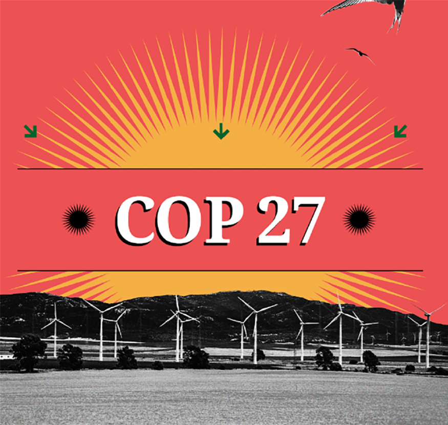 cop27.PNG