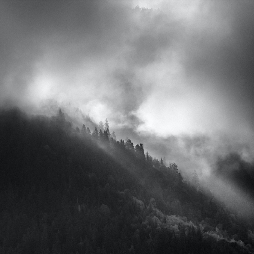 pexels-rastislav-durica-산불아한대.jpg