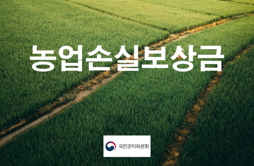 pexels-taryn-elliott-농업손실보상금.jpg