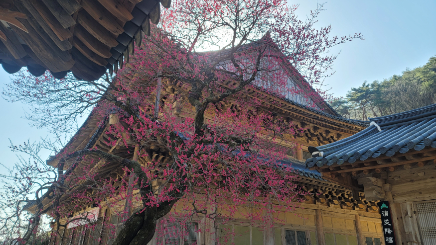 KakaoTalk_20230313_155547321.jpg
