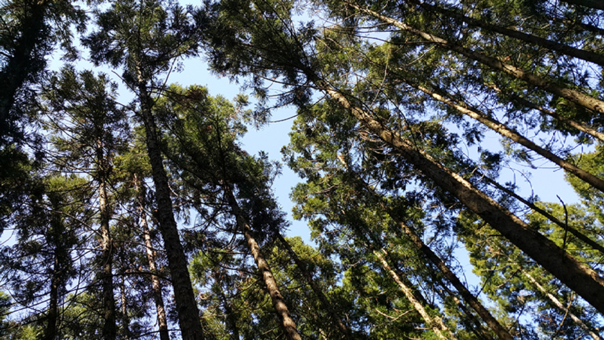 20150425_152755.jpg