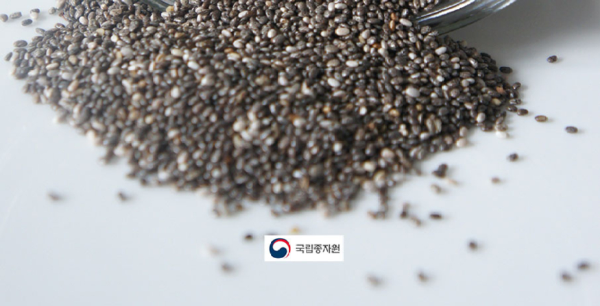 종자원.jpg