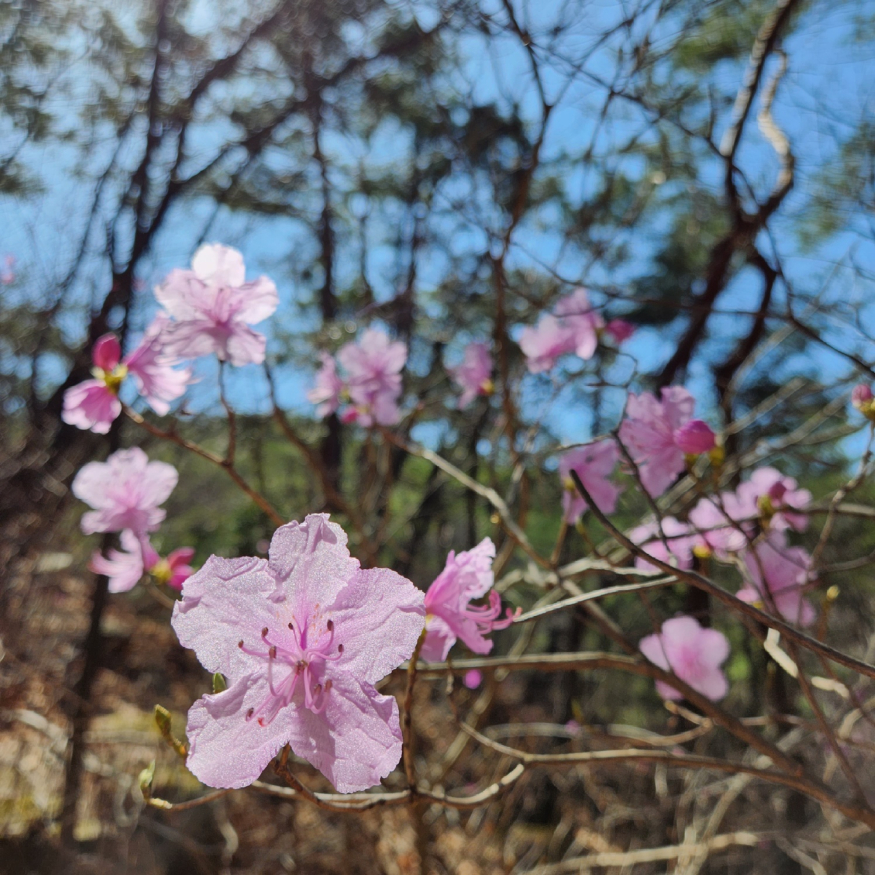 KakaoTalk_20230326_230156697_06.jpg