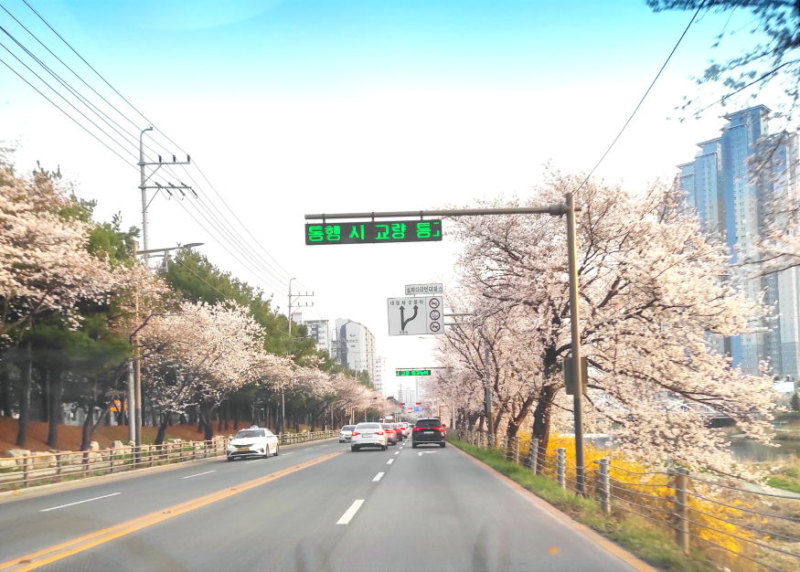 KakaoTalk_20230329_090117689.jpg