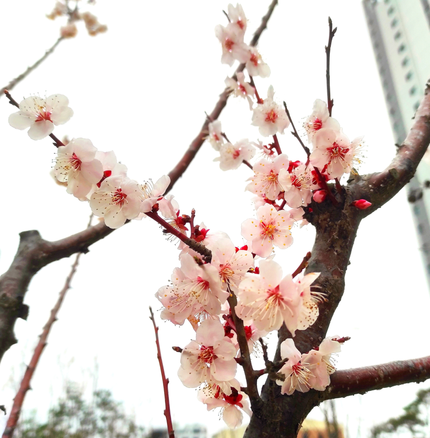 KakaoTalk_20230329_090117689_04.jpg