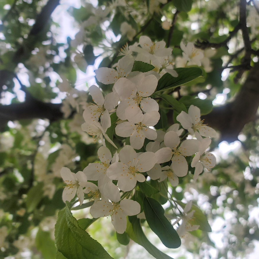 20230425_080911.jpg