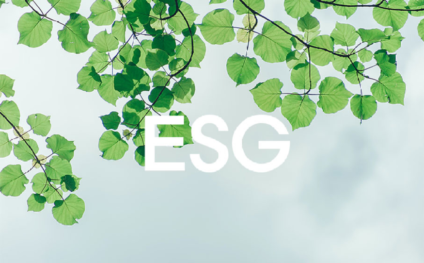 esg-나무.jpg