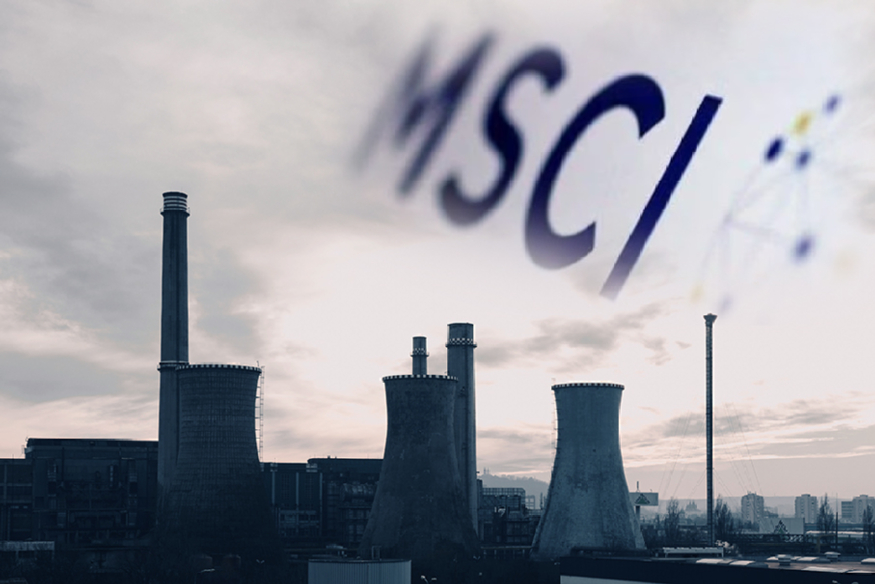pexels-catalin-m-MSCI.jpg