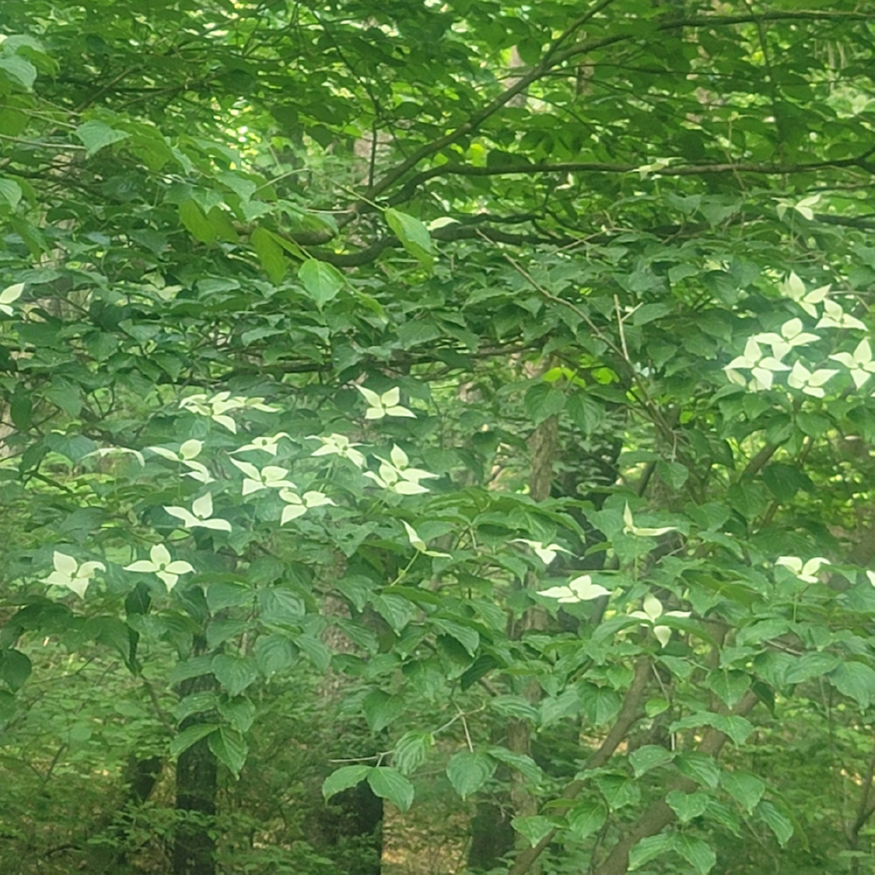 20230523_163238.jpg