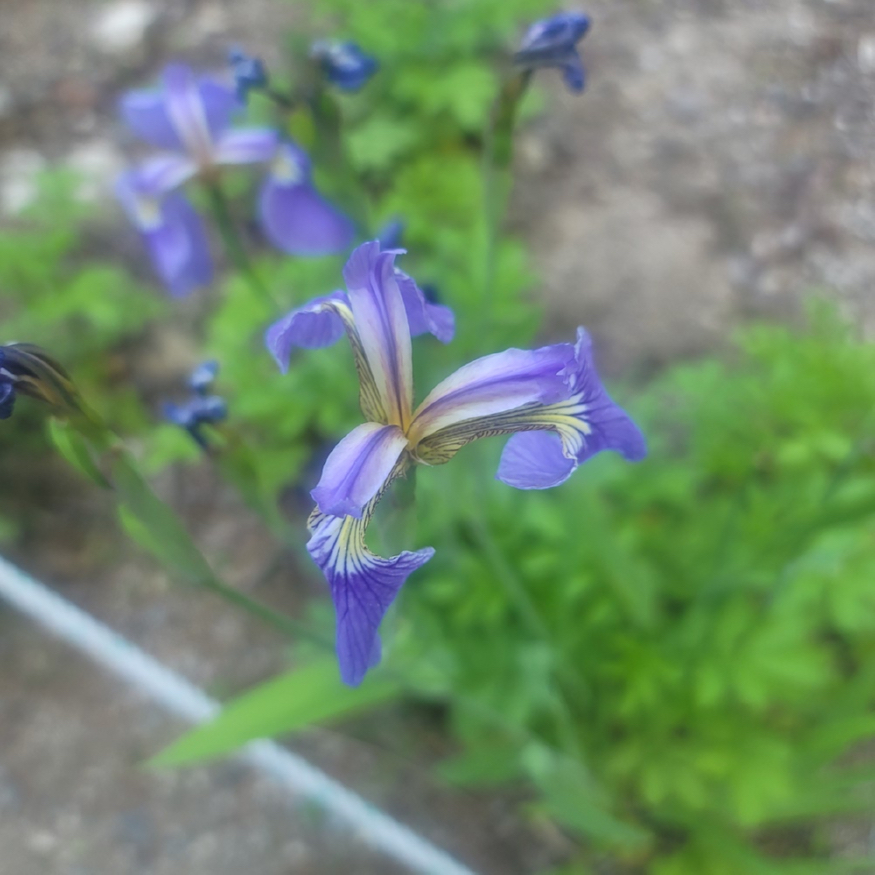 20230523_163914.jpg