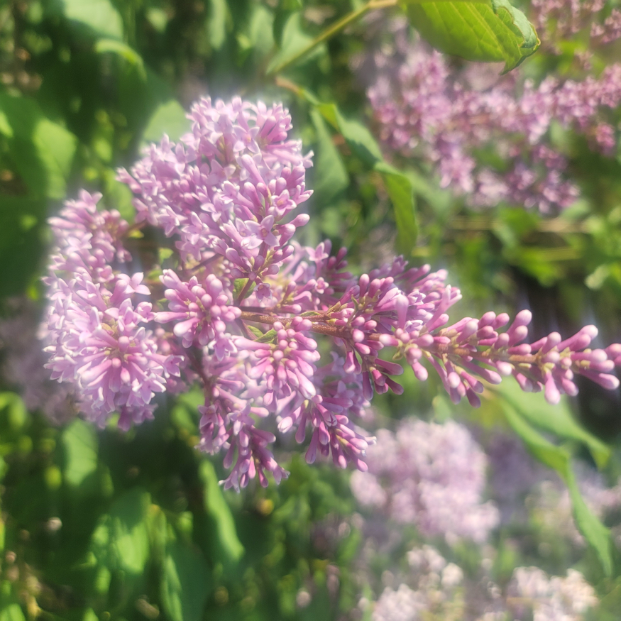 20230523_164456.jpg