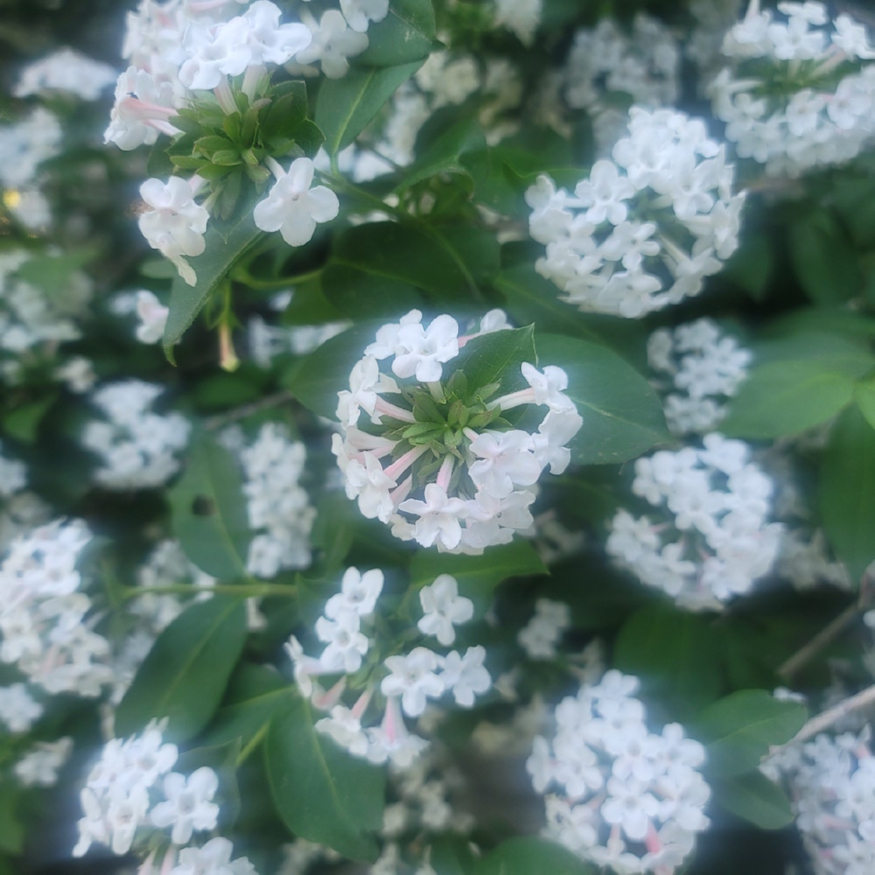 20230523_164724.jpg