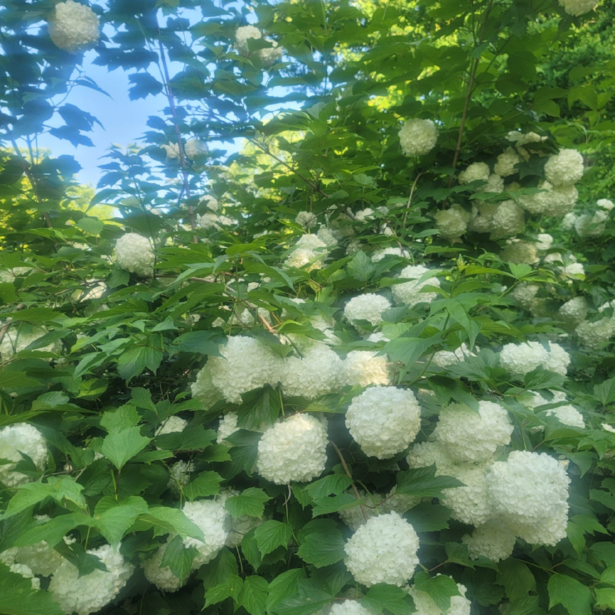 20230523_164841.jpg