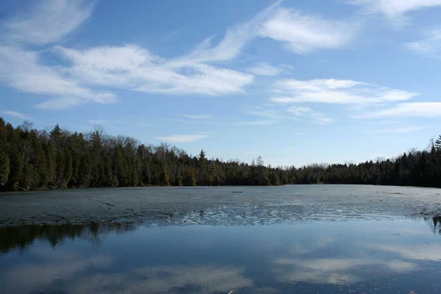 Crawford-Lake.jpg