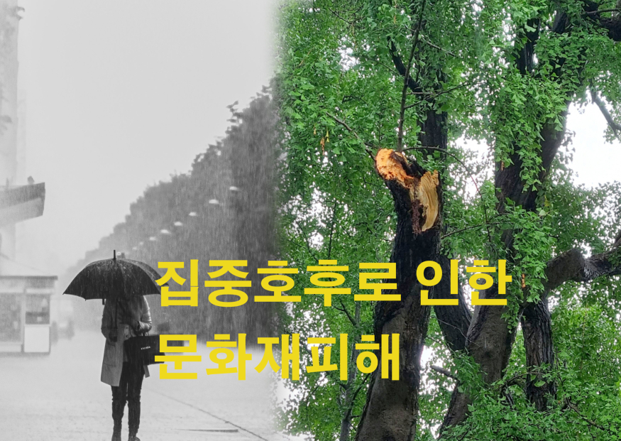 뮪허쟈파햐.jpg