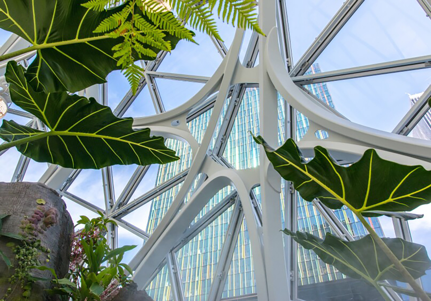The Spheres 2.jpg