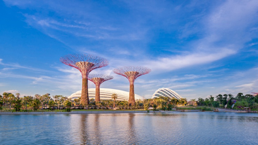 Gardens by the bay 1.jpg